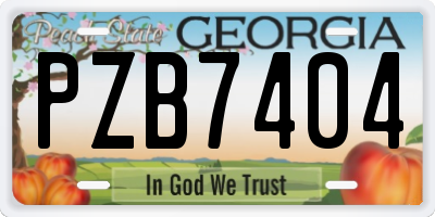 GA license plate PZB7404