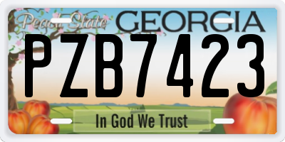 GA license plate PZB7423