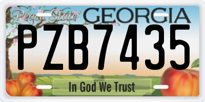 GA license plate PZB7435