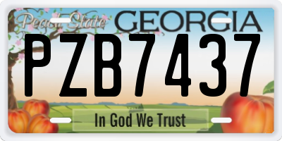 GA license plate PZB7437
