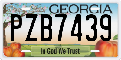 GA license plate PZB7439
