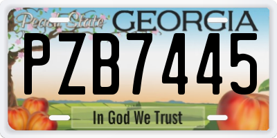 GA license plate PZB7445