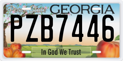 GA license plate PZB7446