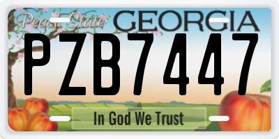 GA license plate PZB7447