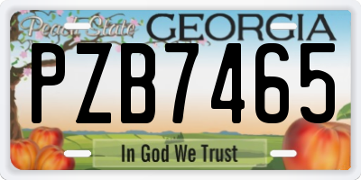GA license plate PZB7465
