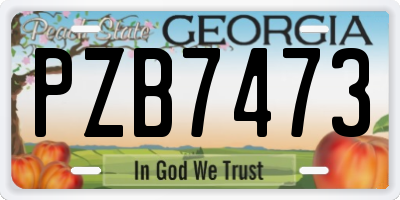GA license plate PZB7473