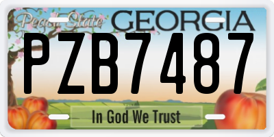 GA license plate PZB7487