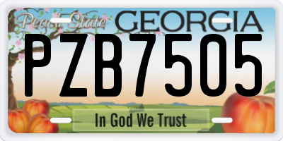 GA license plate PZB7505