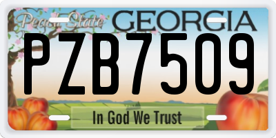 GA license plate PZB7509