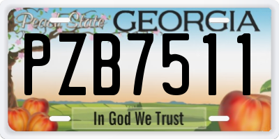 GA license plate PZB7511