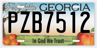 GA license plate PZB7512