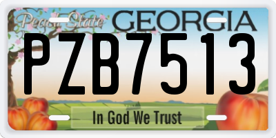 GA license plate PZB7513