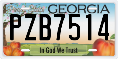 GA license plate PZB7514