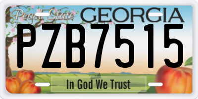 GA license plate PZB7515