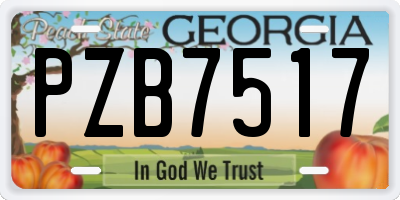 GA license plate PZB7517