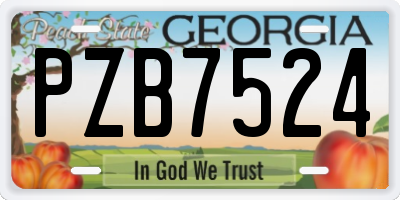 GA license plate PZB7524