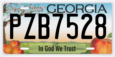 GA license plate PZB7528