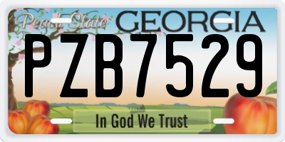 GA license plate PZB7529