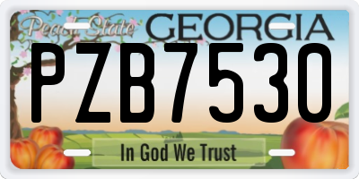 GA license plate PZB7530