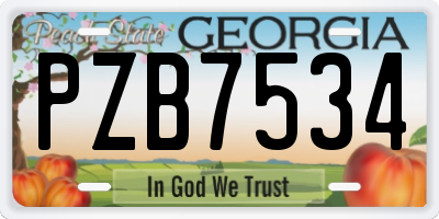 GA license plate PZB7534
