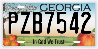 GA license plate PZB7542