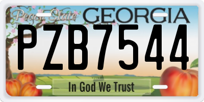 GA license plate PZB7544