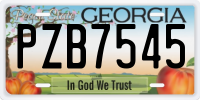GA license plate PZB7545