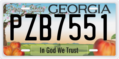 GA license plate PZB7551