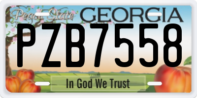 GA license plate PZB7558