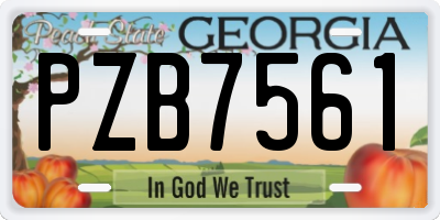 GA license plate PZB7561
