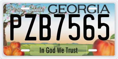 GA license plate PZB7565
