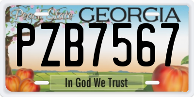 GA license plate PZB7567