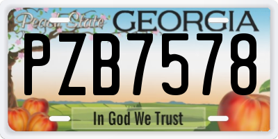 GA license plate PZB7578