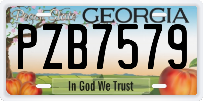 GA license plate PZB7579