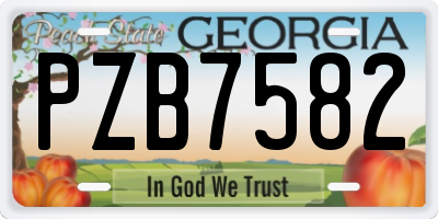 GA license plate PZB7582