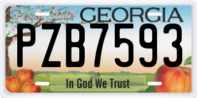 GA license plate PZB7593