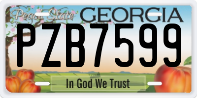 GA license plate PZB7599