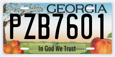 GA license plate PZB7601