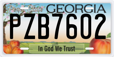 GA license plate PZB7602