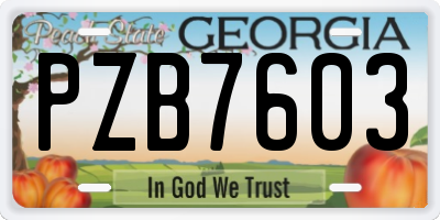 GA license plate PZB7603