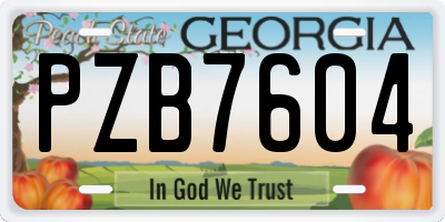 GA license plate PZB7604