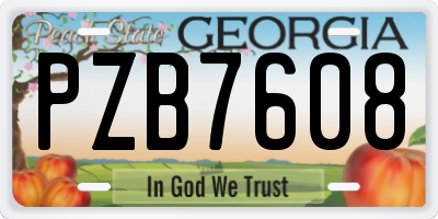GA license plate PZB7608