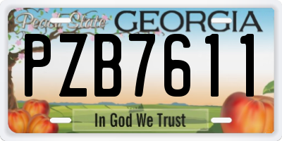 GA license plate PZB7611