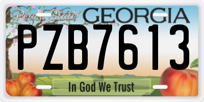 GA license plate PZB7613