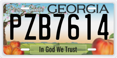 GA license plate PZB7614