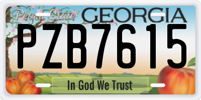 GA license plate PZB7615