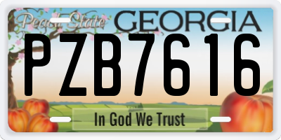 GA license plate PZB7616