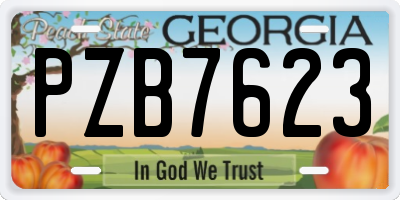 GA license plate PZB7623