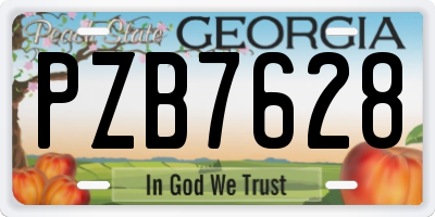 GA license plate PZB7628