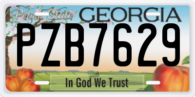 GA license plate PZB7629